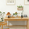 2 Bags Rustic Triple Glass Hydroponic Vase with Wooden Stand AJEW-TW0001-38-6