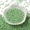 Baking Paint Glass Seed Beads SEED-S042-15A-08-2