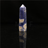 Point Tower Natural Sodalite Home Display Decoration PW23030662945-1
