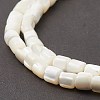 Natural Sea Shell Column Bead Strands SSHEL-M014-22-A-4