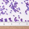 MIYUKI Delica Beads SEED-MY11-DB1755-4