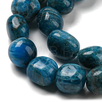 Natural Apatite Beads Strands G-C038-02A-03-1