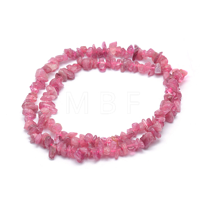 Natural Tourmaline Beads Strands G-P332-67-1