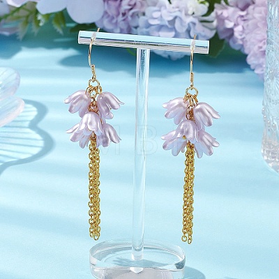 Acrylic Dangle Earrings EJEW-JE06228-03-1