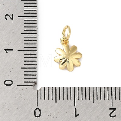 Brass Enamel Charms KK-L216-006G-05-1