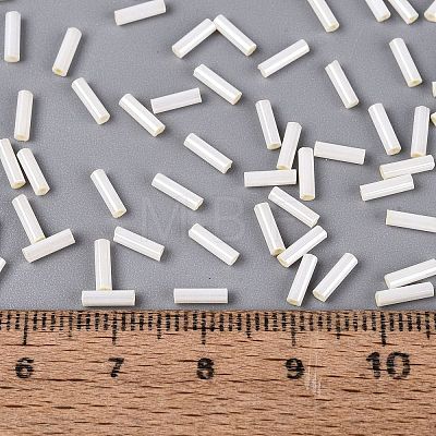FGB Grade A Glass Round Bugle Beads SEED-Q040-06A-02-1