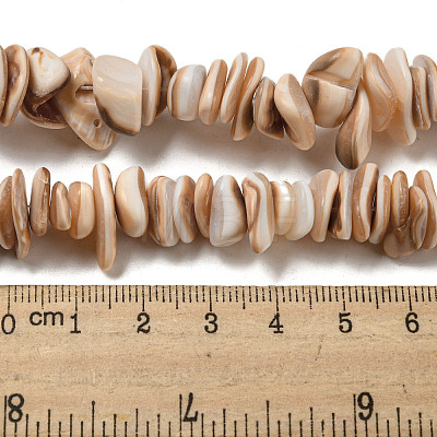 Natural Seashell Shell Beads Strands SSHEL-H072-06-1