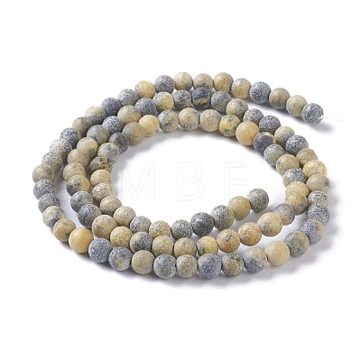 Natural Yellow Turquoise(Jasper) Beads Strands G-H245-02A-1
