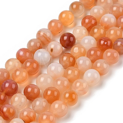 Natural Red Agate Beads Strands G-A248-A06-04-1