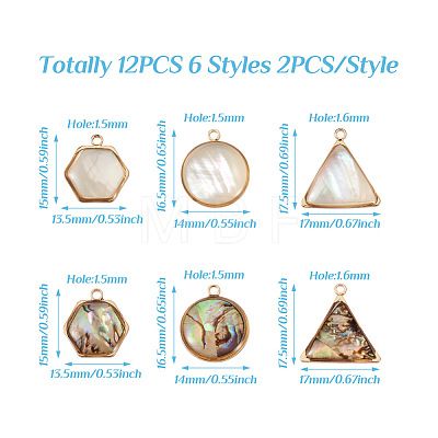 Craftdady 12Pcs 6 Styles Natural Shell Pendant Sets SHEL-CD0001-03-1