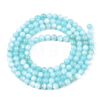 Natural Freshwater Shell Beads Strands X-BSHE-T009A-01E-1