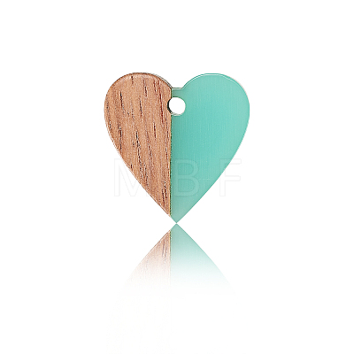 Resin & Wood Pendants LS-RESI-CJC0001-19C-1