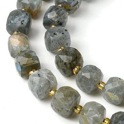 Natural Labradorite Beads Strands G-Q010-A25-01-1