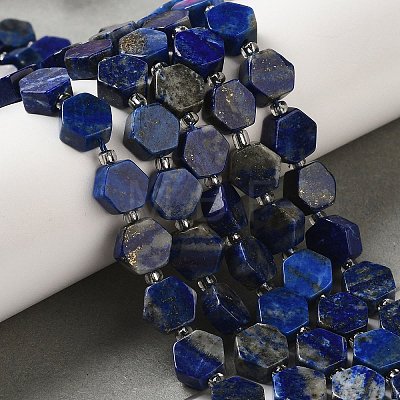Natural Lapis Lazuli Beads Strands G-P534-A12-02-1