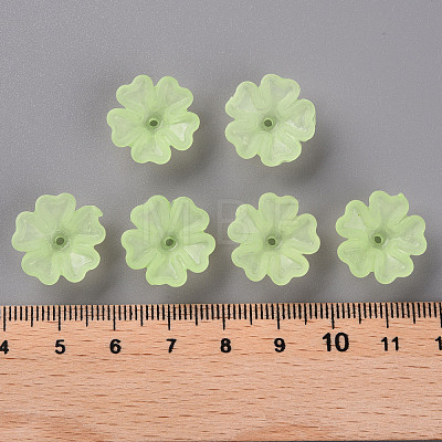 Transparent Frosted Acrylic Bead Caps MACR-S371-04A-728-1