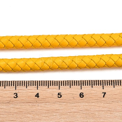Braided Leather Cord with Core WL-F009-6mm-01-1