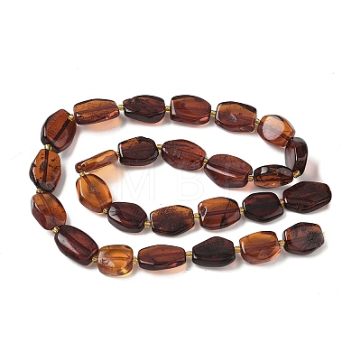 Natural Amber Beads Strands G-L095-C01-03-1