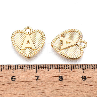 Alloy Pendants PALLOY-N157-001A-NR-1