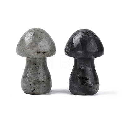 Natural Labradorite Mushroom Display Decorations G-Q602-03F-1