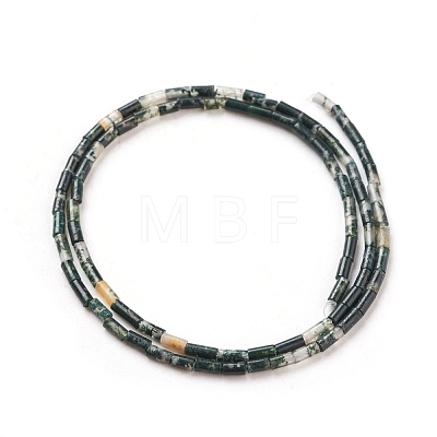 Natural Moss Agate Beads Strands G-G783-19-1