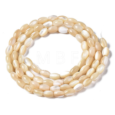 Natural Trochid Shell/Trochus Shell Beads Strands SSHEL-S266-021B-01-1