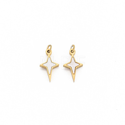 Ion Plating(IP) 304 Stainless Steel Charms X-STAS-N097-189-1