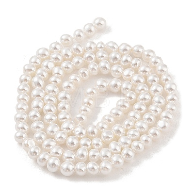 Electroplated Shell Pearl Beads Strands BSHE-C006-05B-1