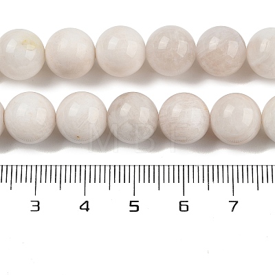 Natural Rainbow Moonstone Beads Strands G-N328-024-10mm-AB-1