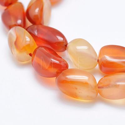 Natural Carnelian Beads Strands G-K203-29A-1