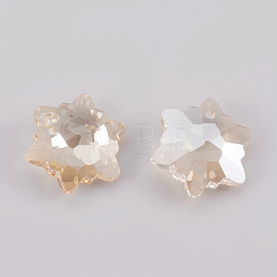 K9 Glass Rhinestone Pendants GLAA-F083-03C-04-1