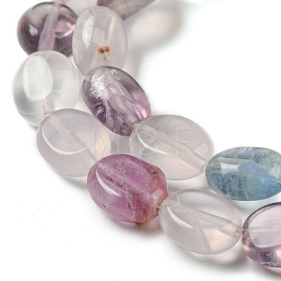 Natural Fluorite Beads Strands G-M420-D05-01-1