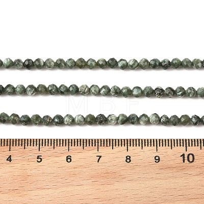 Natural Seraphinite Beads Strands G-K376-A02-4mm-1
