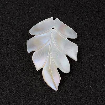 Natural Sea Shell Pendants SSHEL-K001-002-1