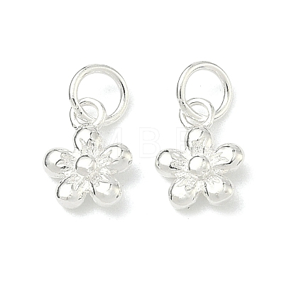 925 Sterling Silver Charms STER-A050-03A-S-1