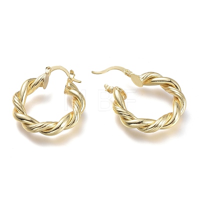 Brass Hoop Earrings EJEW-P264-A10-G-1