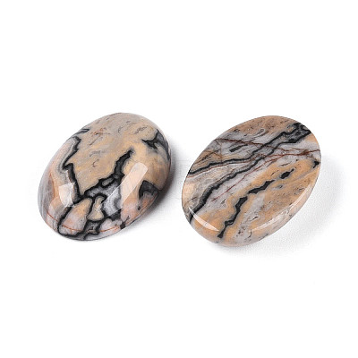 Natural Map Stone Cabochons G-T144-76A-1