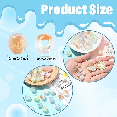 Pearlized Resin European Beads RESI-CJC0022-09-1