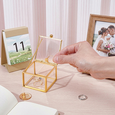Transparent Glass Jewelry Organizer Display Cases with Metal Frame ODIS-WH0025-357A-1