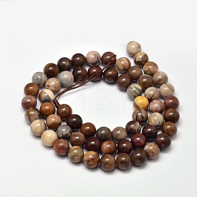 Natural Petrified Wood Round Bead Strands G-F266-08-4mm-1