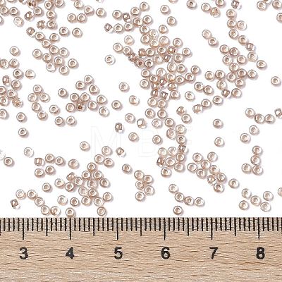 TOHO Round Seed Beads X-SEED-TR11-1067-1