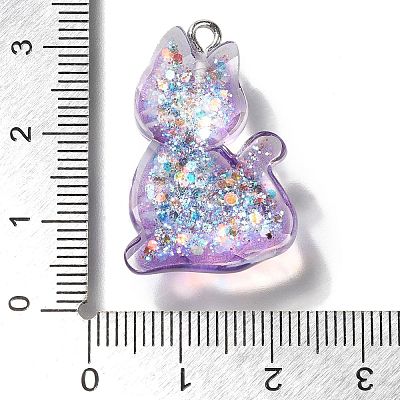 Transparent Resin Pendants RESI-Q019-01B-1