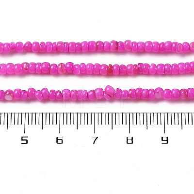 Natural Freshwater Shell Beads Strands SHEL-P017-01B-01-1