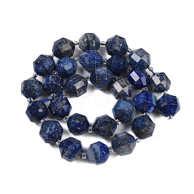 Natural Lapis Lazuli Beads Strands G-O201B-145H-1