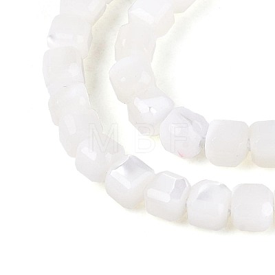 Natural Trochid Shell/Trochus Shell Beads Strands BSHE-T014-52A-01-1