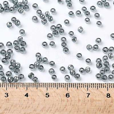 TOHO Round Seed Beads SEED-XTR08-0113-1