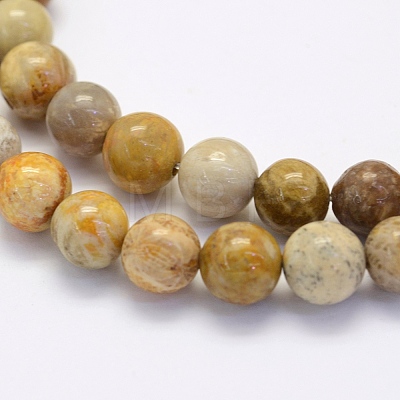 Natural Fossil Coral Beads Strands X-G-G697-F01-8mm-1