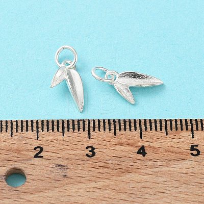 925 Sterling Silver Charms STER-H106-05S-1