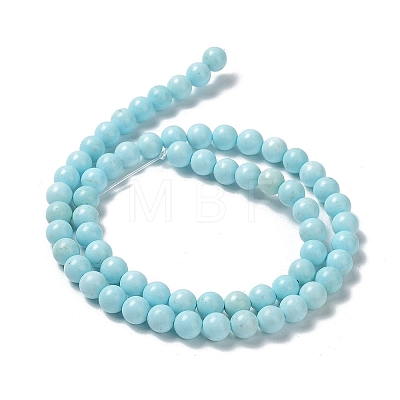 Natural Howlite Beads Strands G-E604-B02-A-1