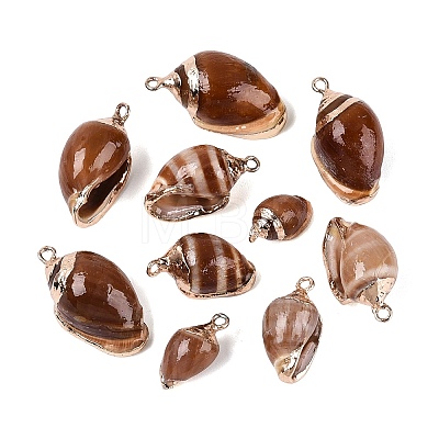 Electroplate Natural Spiral Shell Pendants SSHEL-Q100-45G-1