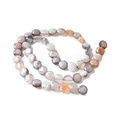 Natural Grey Botswana Agate Beads Strands G-C179-A50-03-1